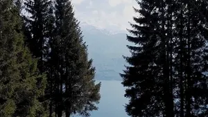 Pine trees above an Alpine lake – shooting locations in the French Alps